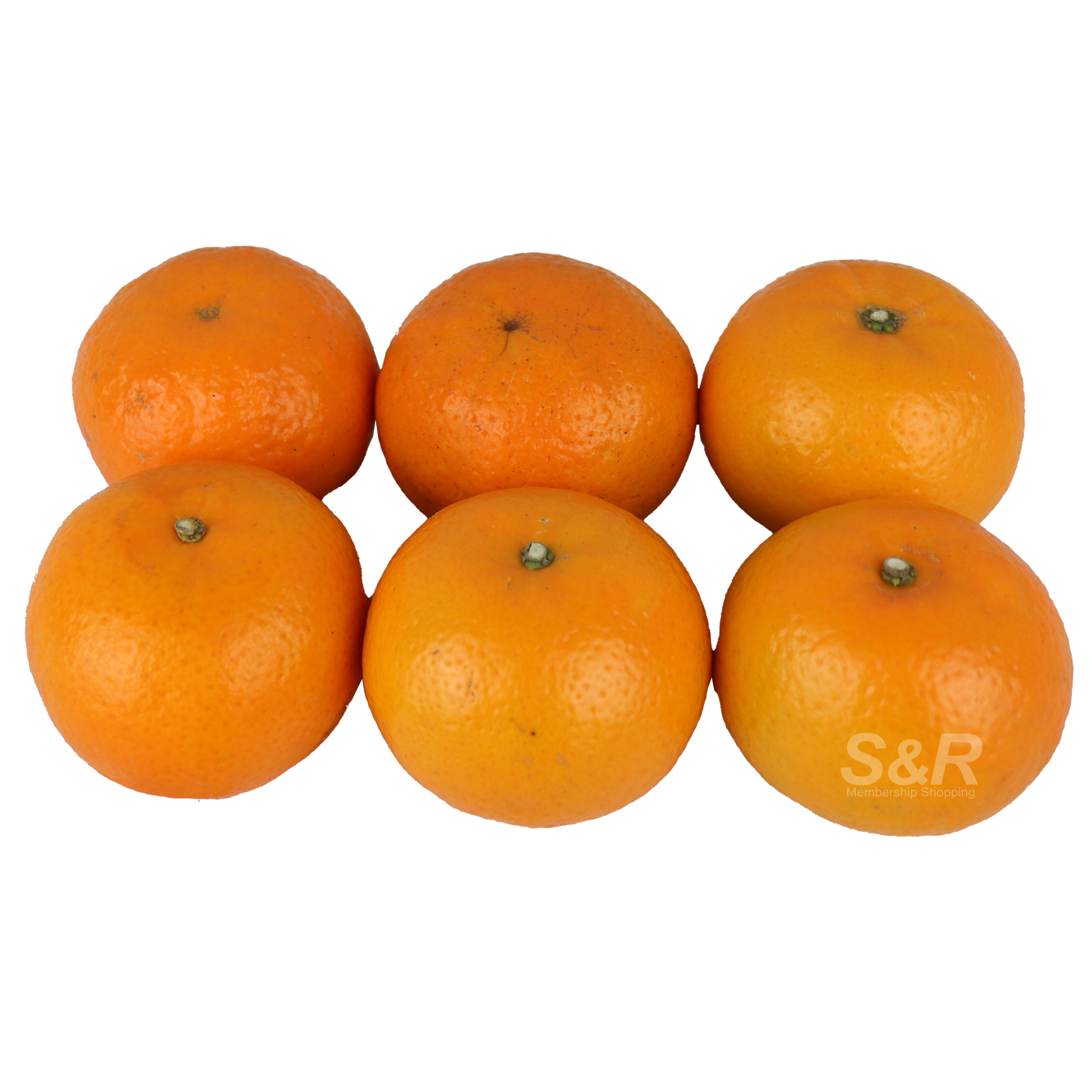 S&R Orange Ponkan 6 pcs